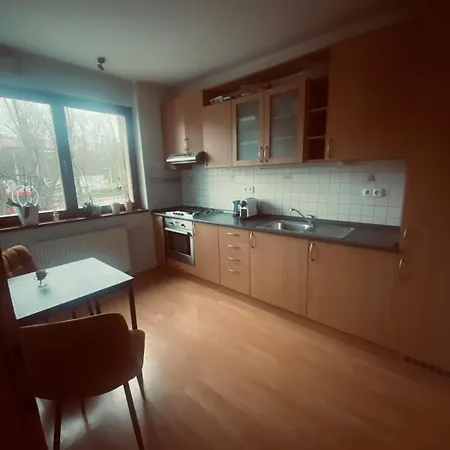 With Garage Parking In The Old Town